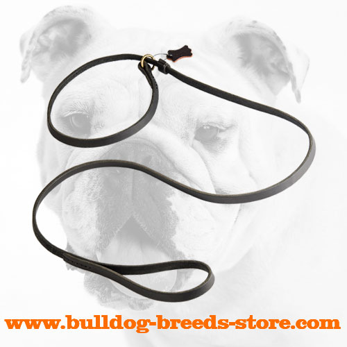 Fast Handling Leather Leash Choke Collar for Bulldogs