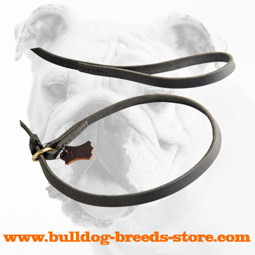 Leather Bulldog Leash Choke Collar