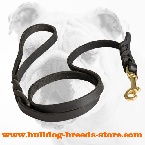 Walking Leather Bulldog Leash