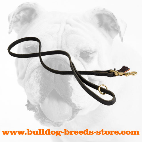 Hand-Stitched Training Leather Dog Leash for Bulldog