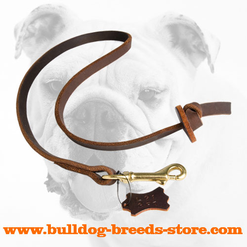 Pocket Leather Bulldog Leash for Better Control Over Dogs