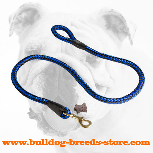 Stylish Walking Cord Nylon Dog Leash for Bulldog