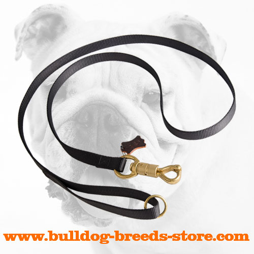 Durable Nylon Dog Leash for Bulldog