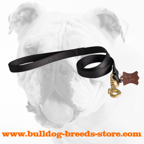 Training Nylon Bulldog Leash with Strong Fittings