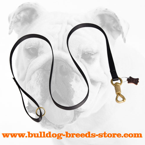 Easy to Use Nylon Bulldog Leash for Walking