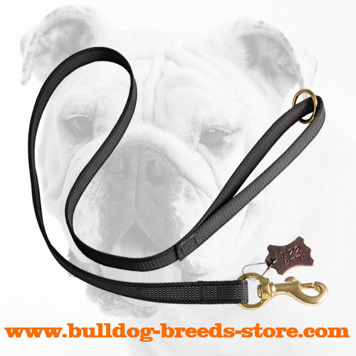 Walking Nylon Bulldog Leash with Rubber Lines