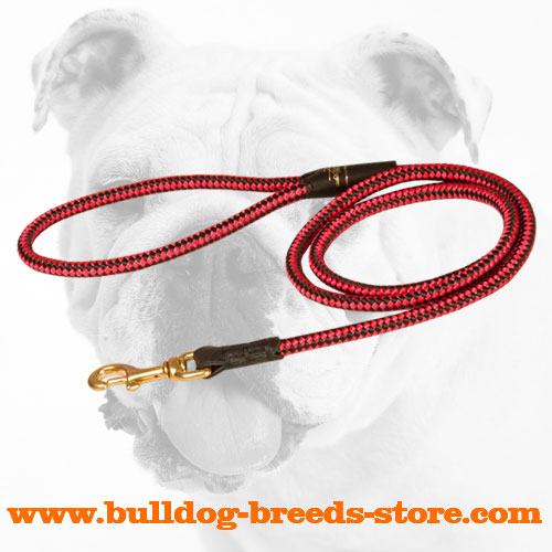 Durable Decorative Nylon Bulldog Leash for Patrolling