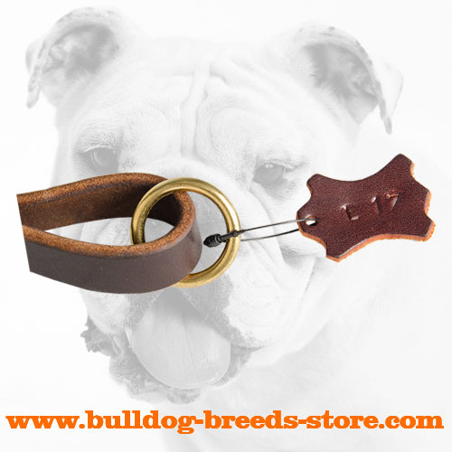 O-ring on Handle of Walking Leather Bulldog Leash