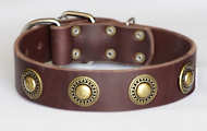 Leather Dog Collar with silver conchos- black,brown,tan colors