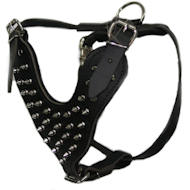 Leather Spiked Dog Harness- Deluxe custom Leather Harness