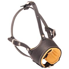 Leather Bulldog Muzzle for Everyday Walking