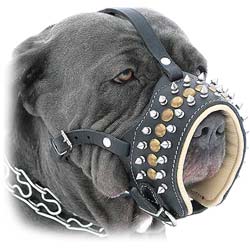 Durable Training Leather Bulldog Muzzle 