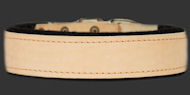 1.5 inch width PADDED LEATHER DOG COLLAR 3.8 cm width Collar