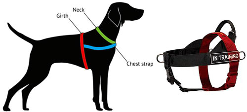 measure-harness