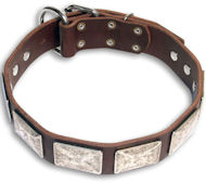 Bulldog Personalized Brown dog collar 19inch/19'' collar - c83
