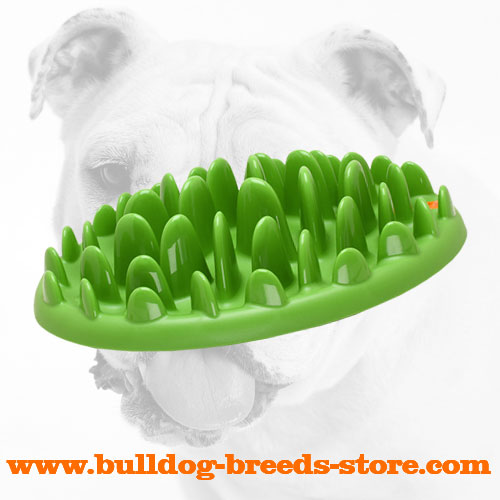 Purchase Plastic Slow Bulldog Feeder Dog Plate
