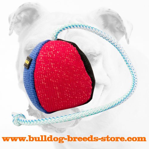 Bite Bulldog Ball Made of French Linen