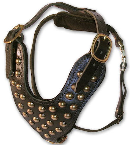 handmade leather dog harness for Bulldog s
