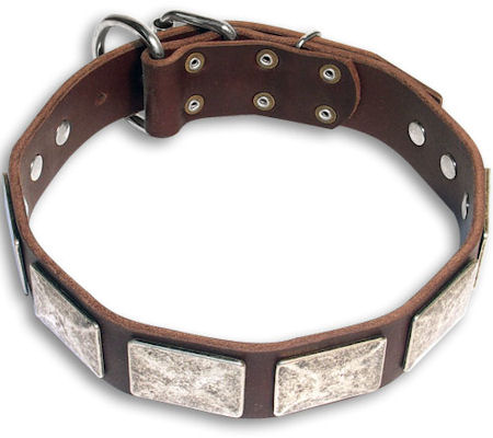 Designer Brown Leather Collar – KNOX DOGWEAR