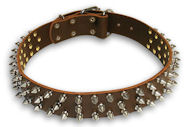 Bulldog Spiked Brown dog collar 19 inch/19'' collar - S44
