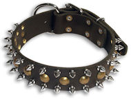 Spiked Black collar 25'' for Bulldog /25 inch dog collar-S55