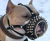 Royal Spiked Leather Dog Muzzle for BullyPit