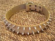 spiked leather dog collar