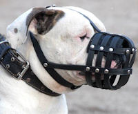 Everyday Durable Leather Valley Bulldog Muzzle