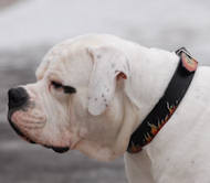 Hand Painted Leather Dog Collar for Valley Bulldog