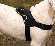 Victorian Bulldog Nylon multi-purpose dog harness with handle