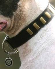 leather dog collar with plates - Victorian Bulldog