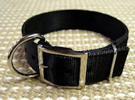 Wide Nylon Dog Collar for Bulldog-1.5 inch wide